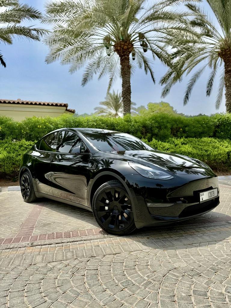 Model Y 2023
