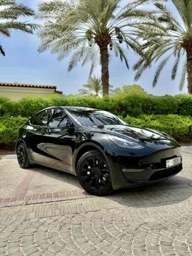 Model Y 2023