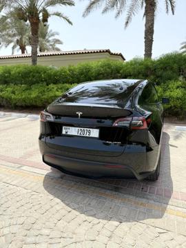 Model Y 2023