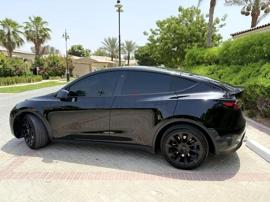 Model Y 2023