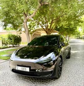 Model Y 2023